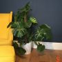 Victorian 2 MDF Skirting Board thumbnail