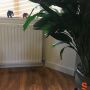 Square MDF Skirting Board thumbnail