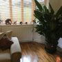 Square MDF Skirting Board thumbnail