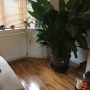 Square MDF Skirting Board thumbnail