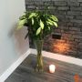 Square MDF Skirting Board thumbnail
